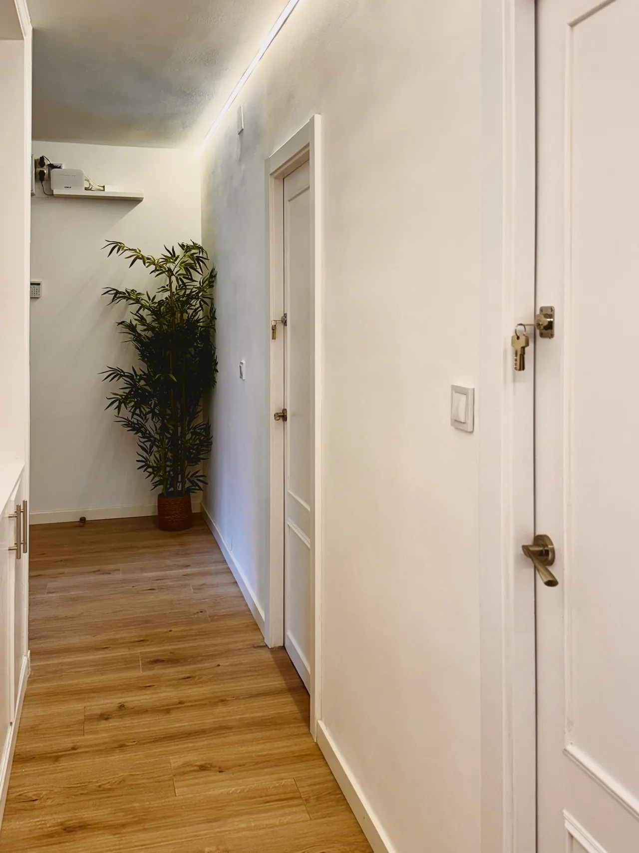 Pasillo con suelo de madera, puertas blancas y planta al fondo (foto 7 de 7)